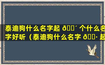 泰迪狗什么名字起 🌴 个什么名字好听（泰迪狗什么名字 🕷 起个什么名字好听一点）